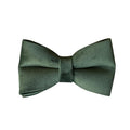 Desmond Collection Emerald Velvet Collar And Leash Set-2