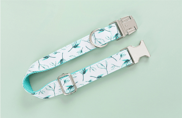 Desmond Collection Tropical Collar Leash & Collar Set-4