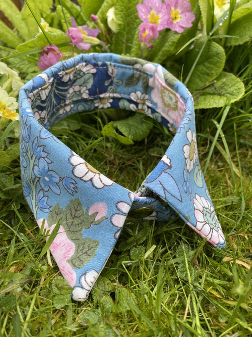 Celine Collection Liberty Shirt Collar -0