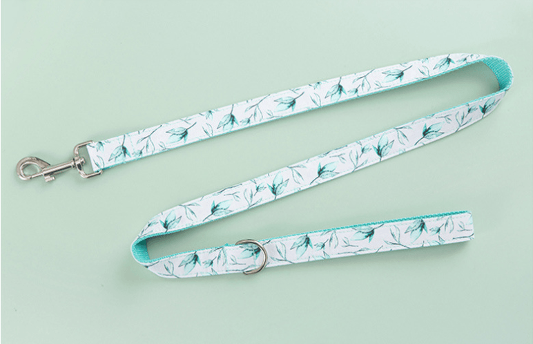 Desmond Collection Tropical Collar Leash & Collar Set-2
