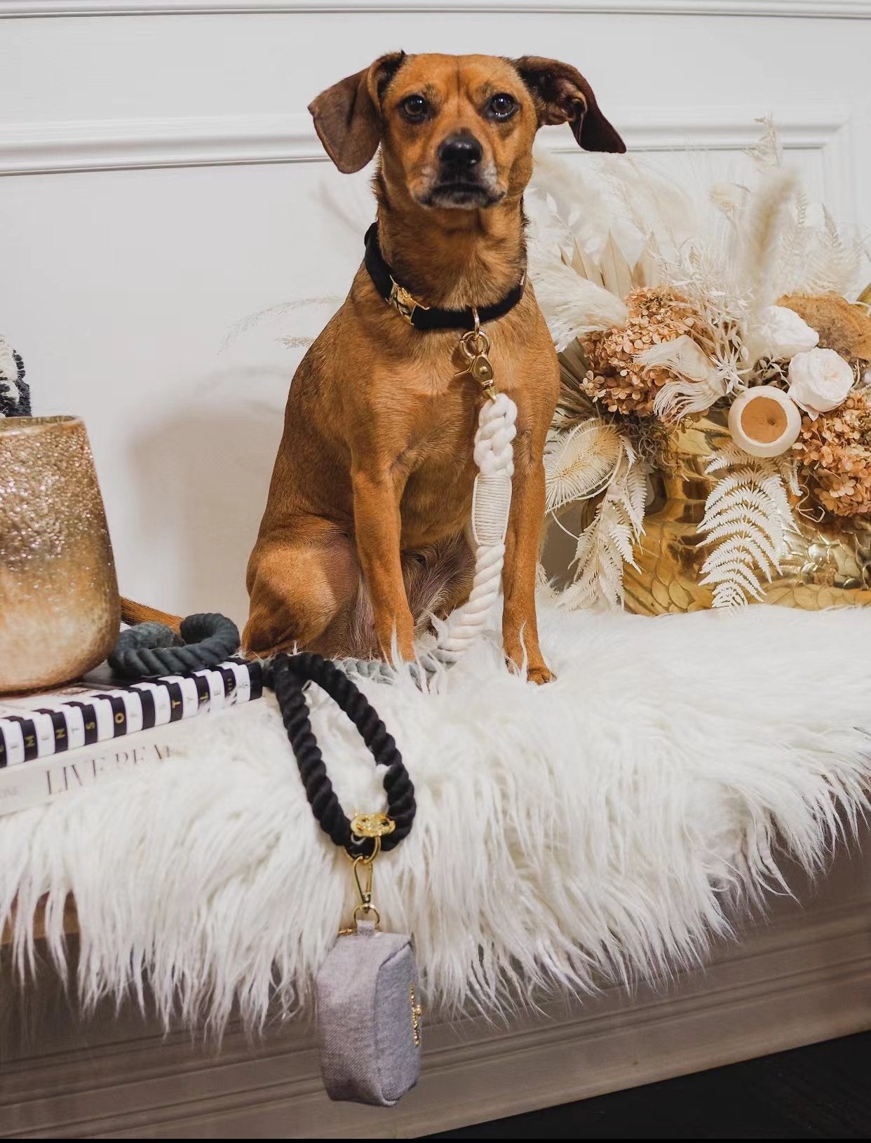 Prescott Collection Golden Rope Set-3