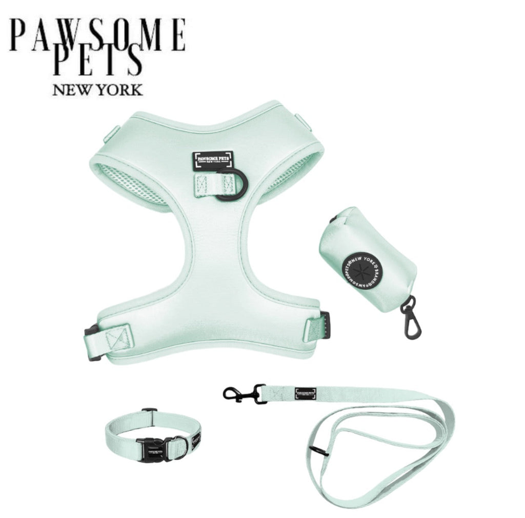 Prescott Collection Mint Harness Set-0