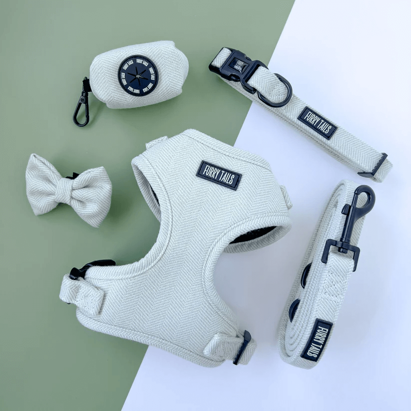 Celine Collection Peppermint Cashmere Harness-0