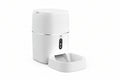 Desmond Collection Automatic Feeder & Water Dispenser-0
