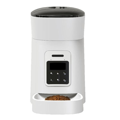 Desmond Collection Automatic Feeder-0