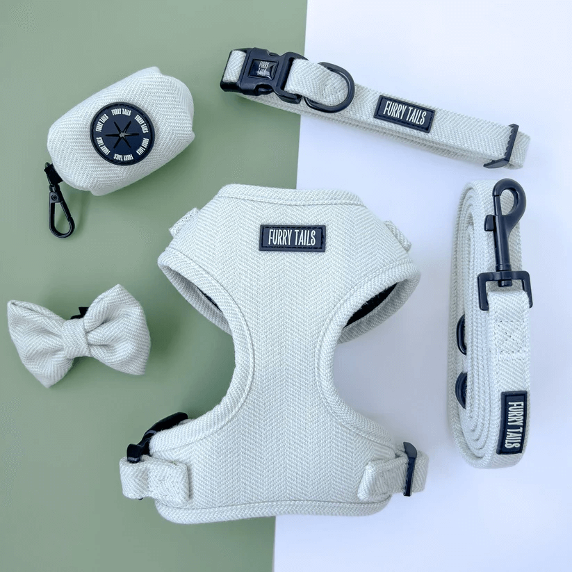 Celine Collection Peppermint Cashmere Harness-2