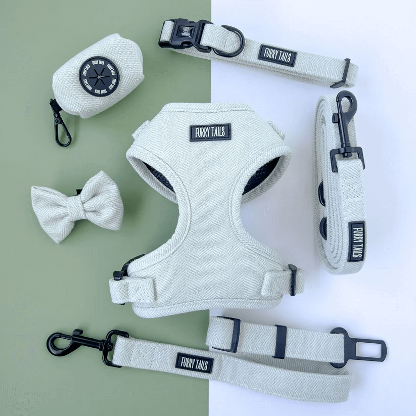 Celine Collection Peppermint Cashmere Harness-4