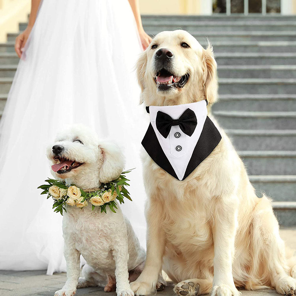 Templeton Collection Tux Wedding Edition -4