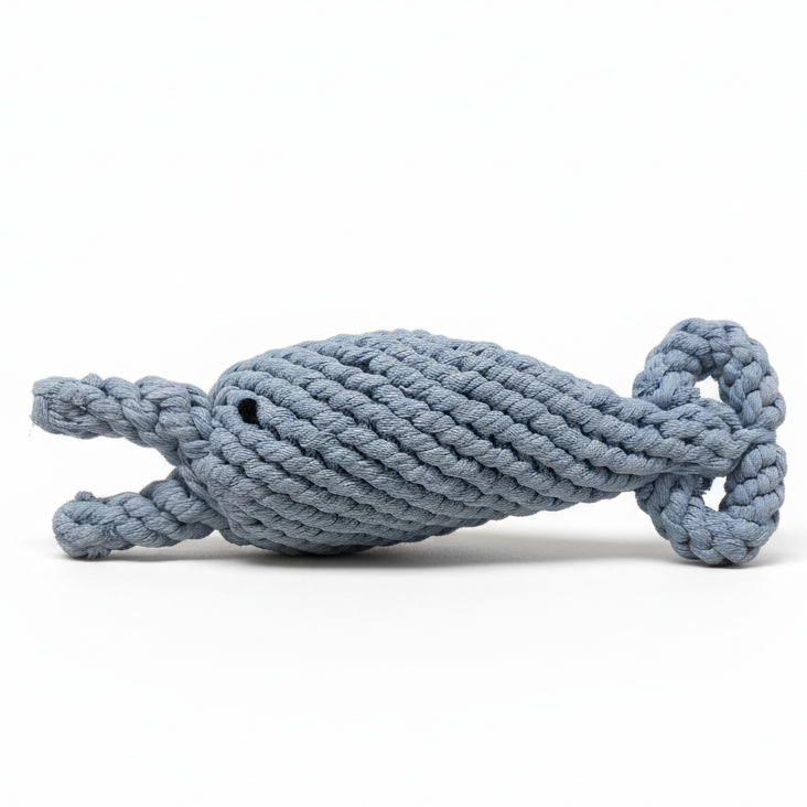 Kensington Collection Dolphin-0