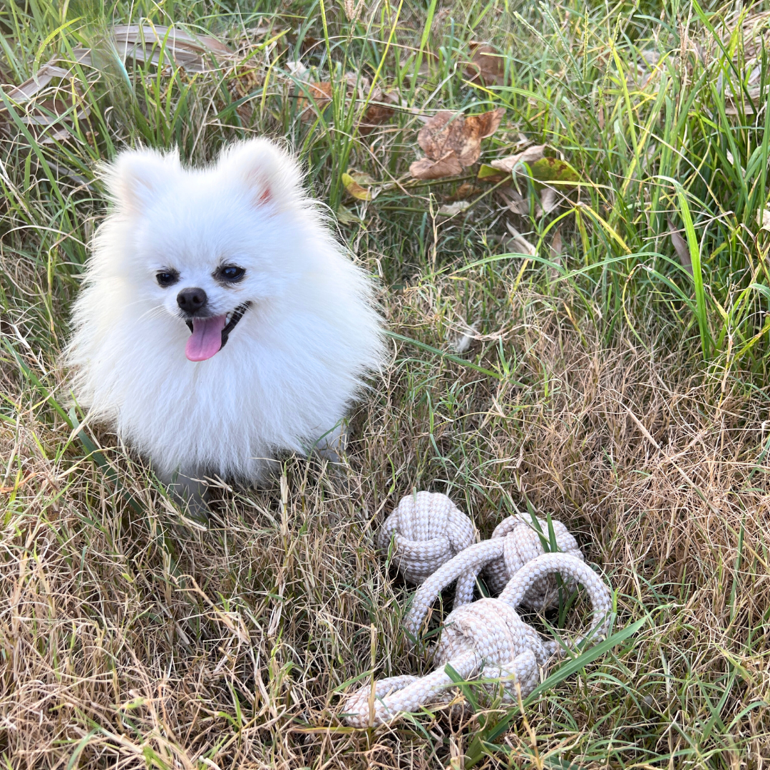 Kensington Natural Hemp Tug Toys-2