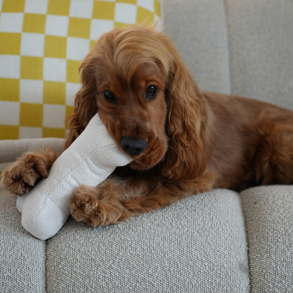 Loft Collection Bone Toys-1