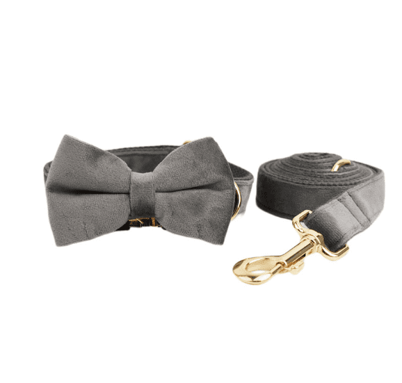 Cypress Collection Velvet Collar and Leash Set-3