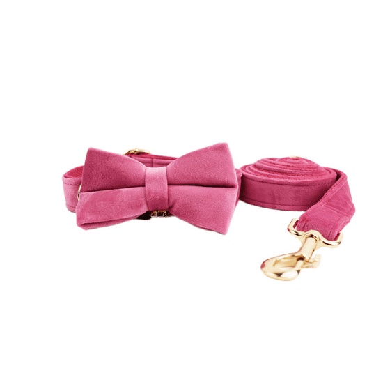 Cypress Collection Velvet Collar and Leash Set-4
