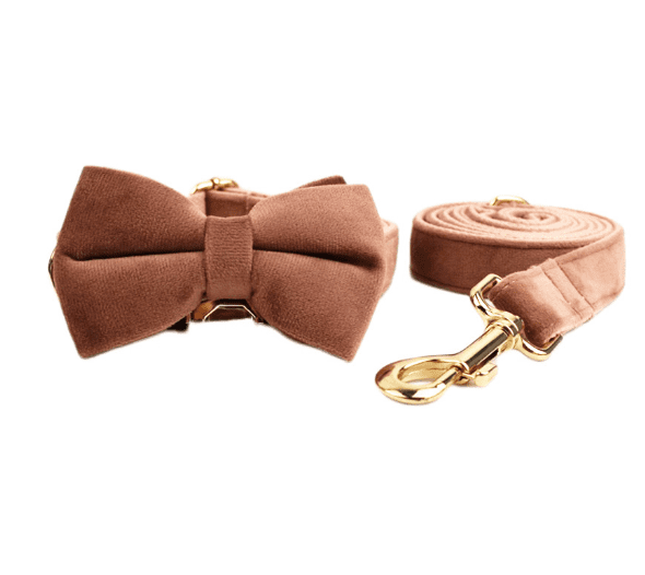 Cypress Collection Velvet Collar and Leash Set-7