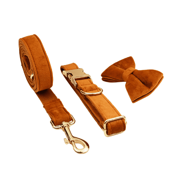 Cypress Collection Velvet Collar and Leash Set-9