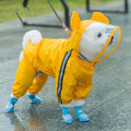 Desmond Collection Raincoat-0