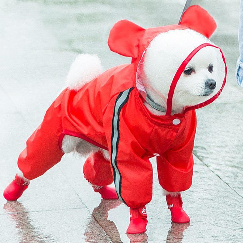 Desmond Collection Raincoat-3
