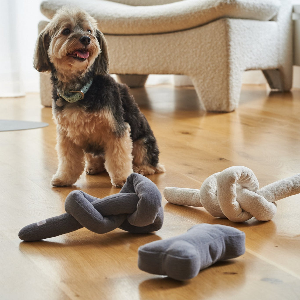 Loft Collection Bone Toys-2