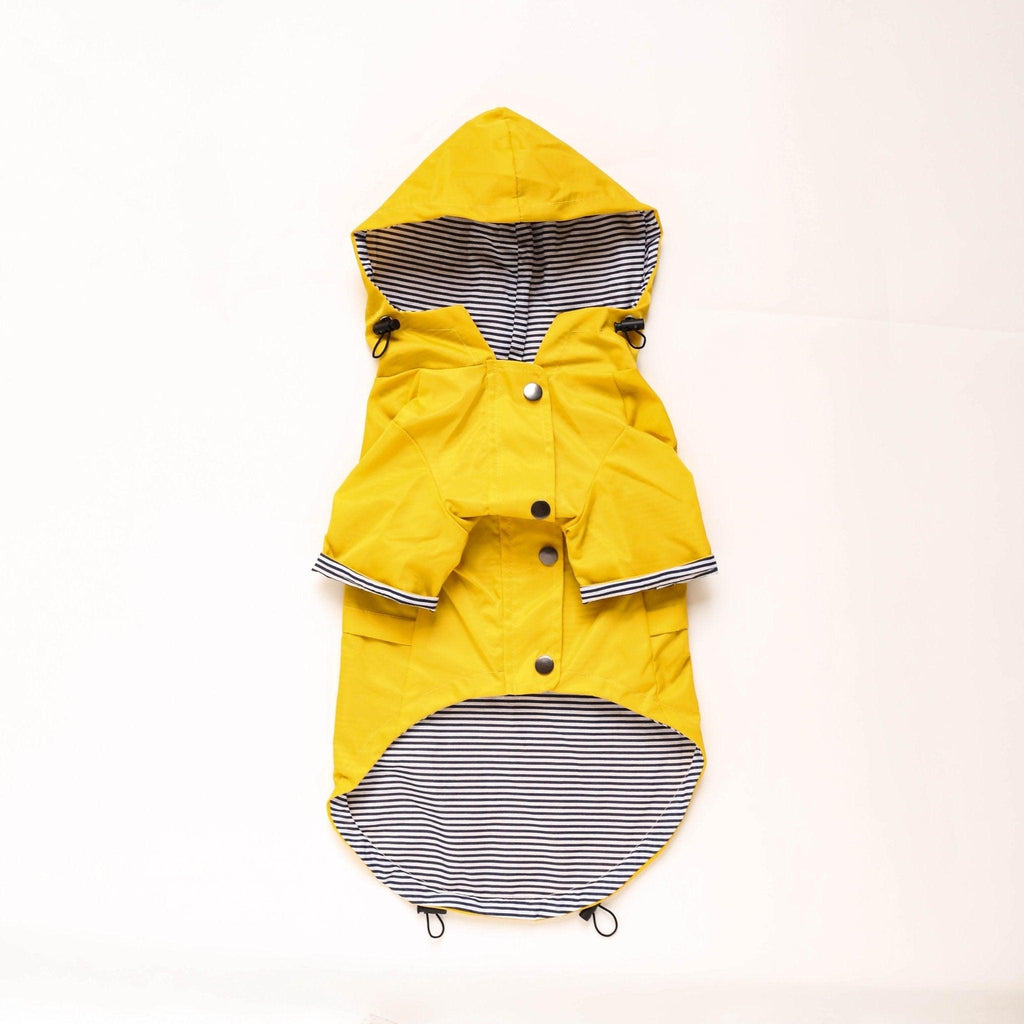 Desmond Collection Classic Raincoat -3