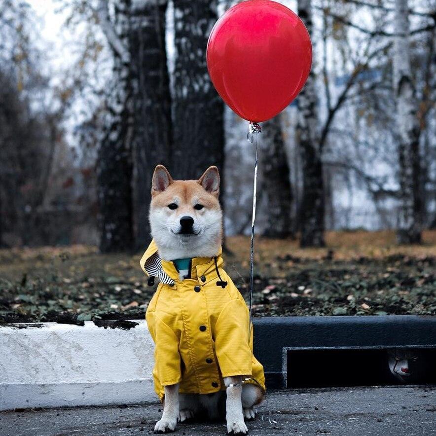 Desmond Collection Classic Raincoat -0