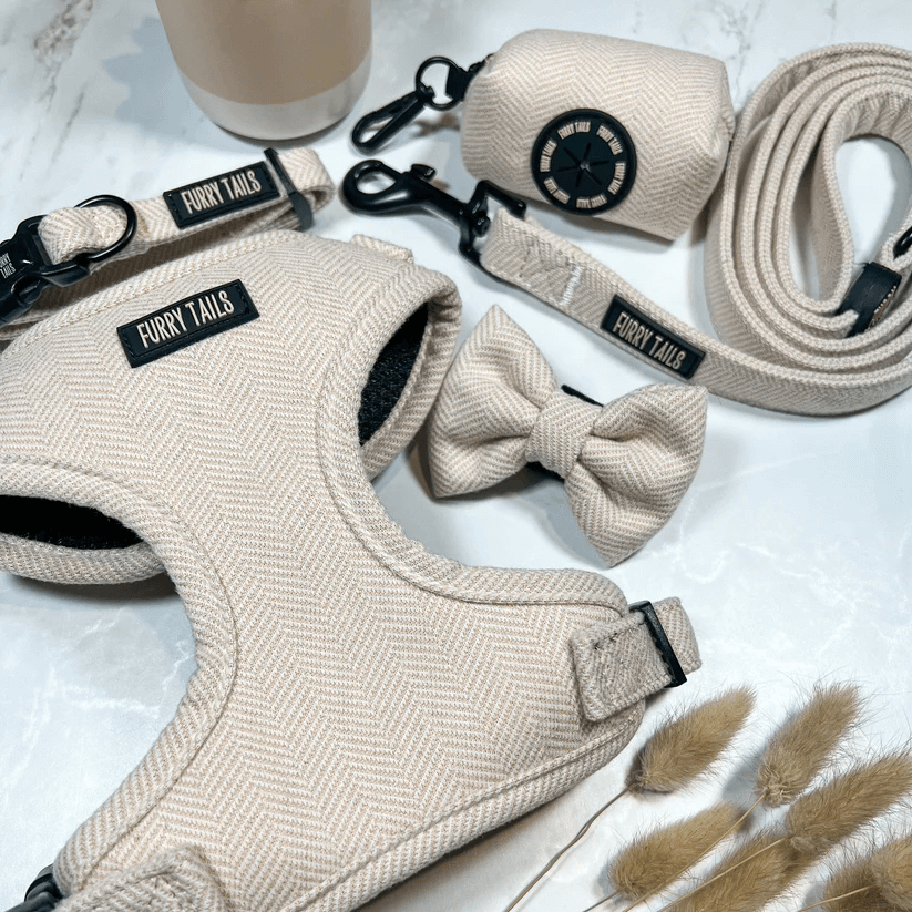 Celine Collection Beige Cashmere Harness-9