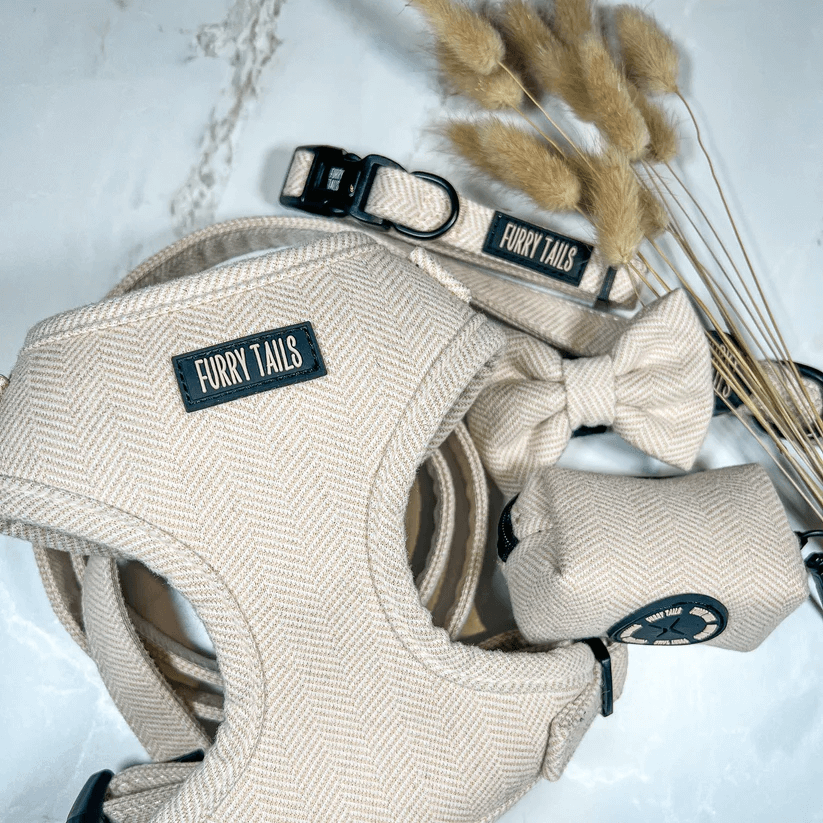 Celine Collection Beige Cashmere Harness-5