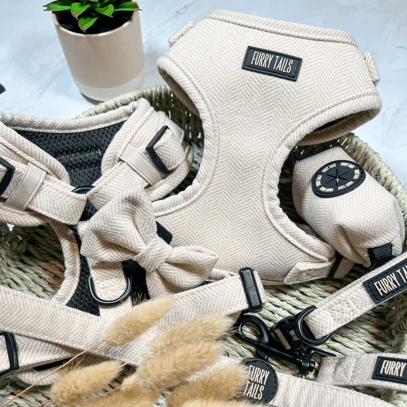 Celine Collection Beige Cashmere Harness-1
